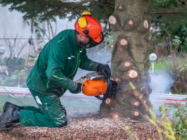 Chainsaws